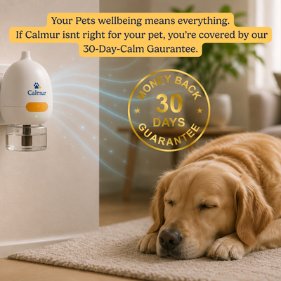 Calmur Dog Calming Diffuser