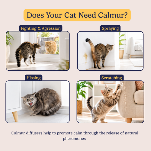 Calmur Cat Calming Diffuser