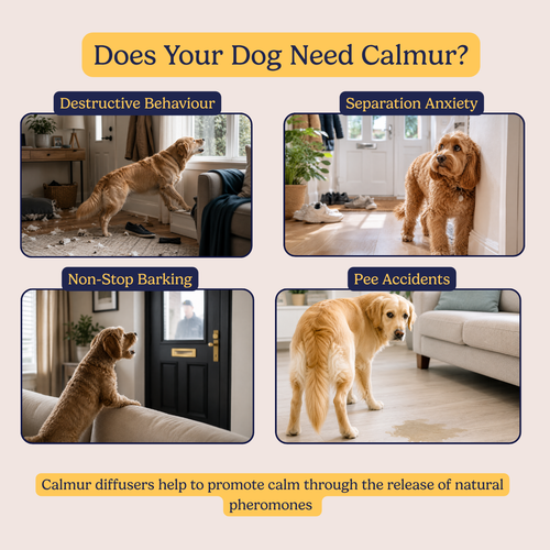 Calmur Dog Calming Diffuser