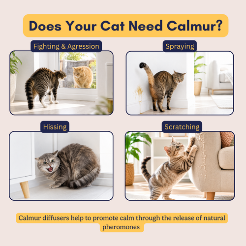 Cat 120 Days Supply